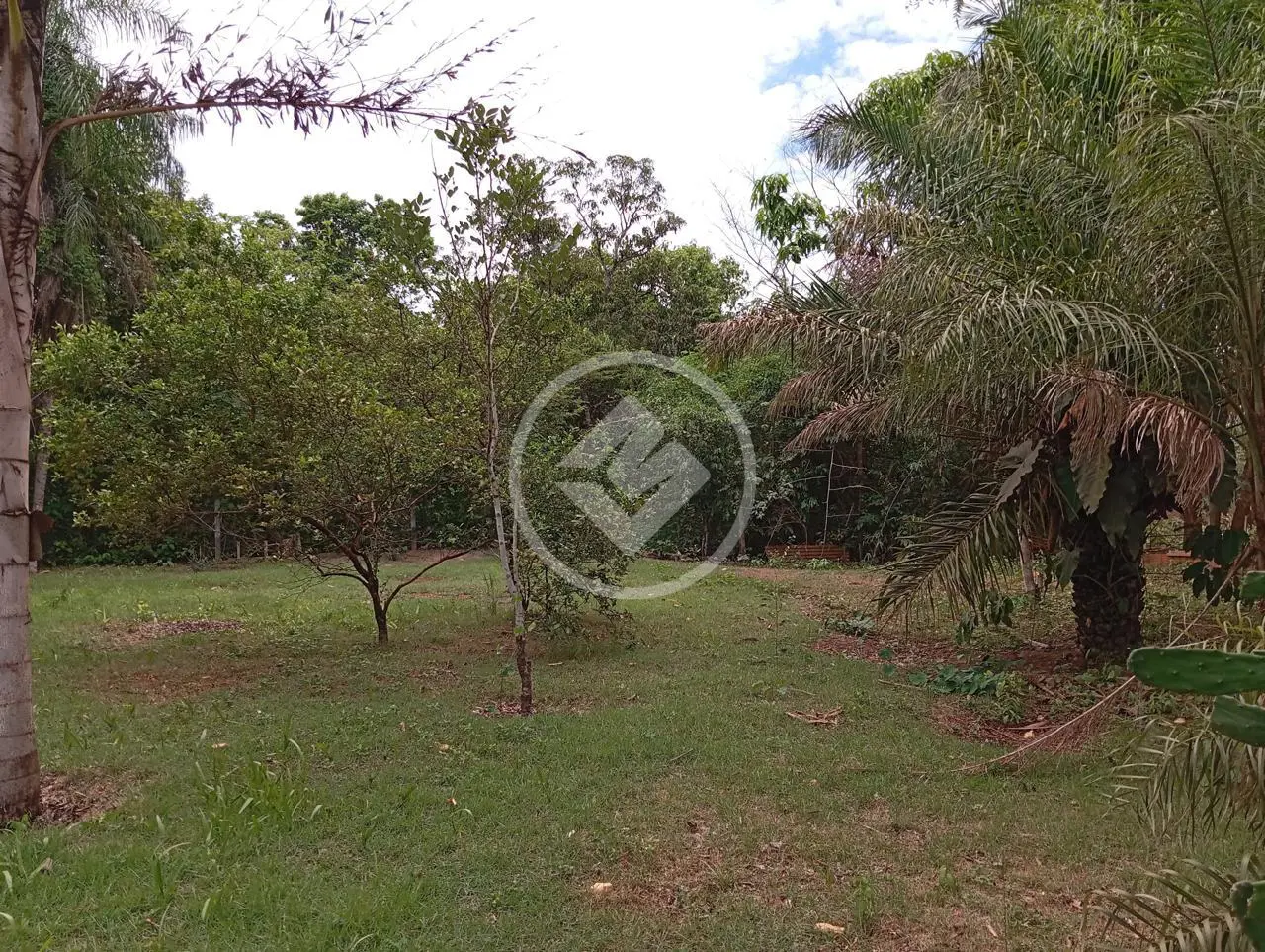 Imagem 5 - Chácara em comunidade ninho das aguas, Nossa Senhora do Livramento - MT