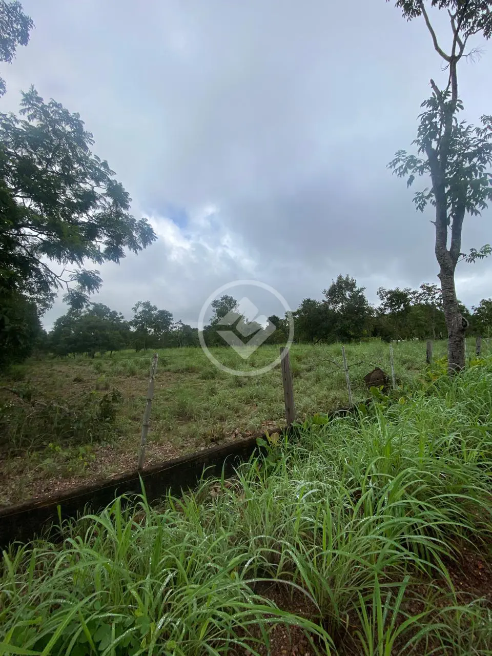 Sítio Área Rural de Cuiabá, Cuiabá - MT — foto 1