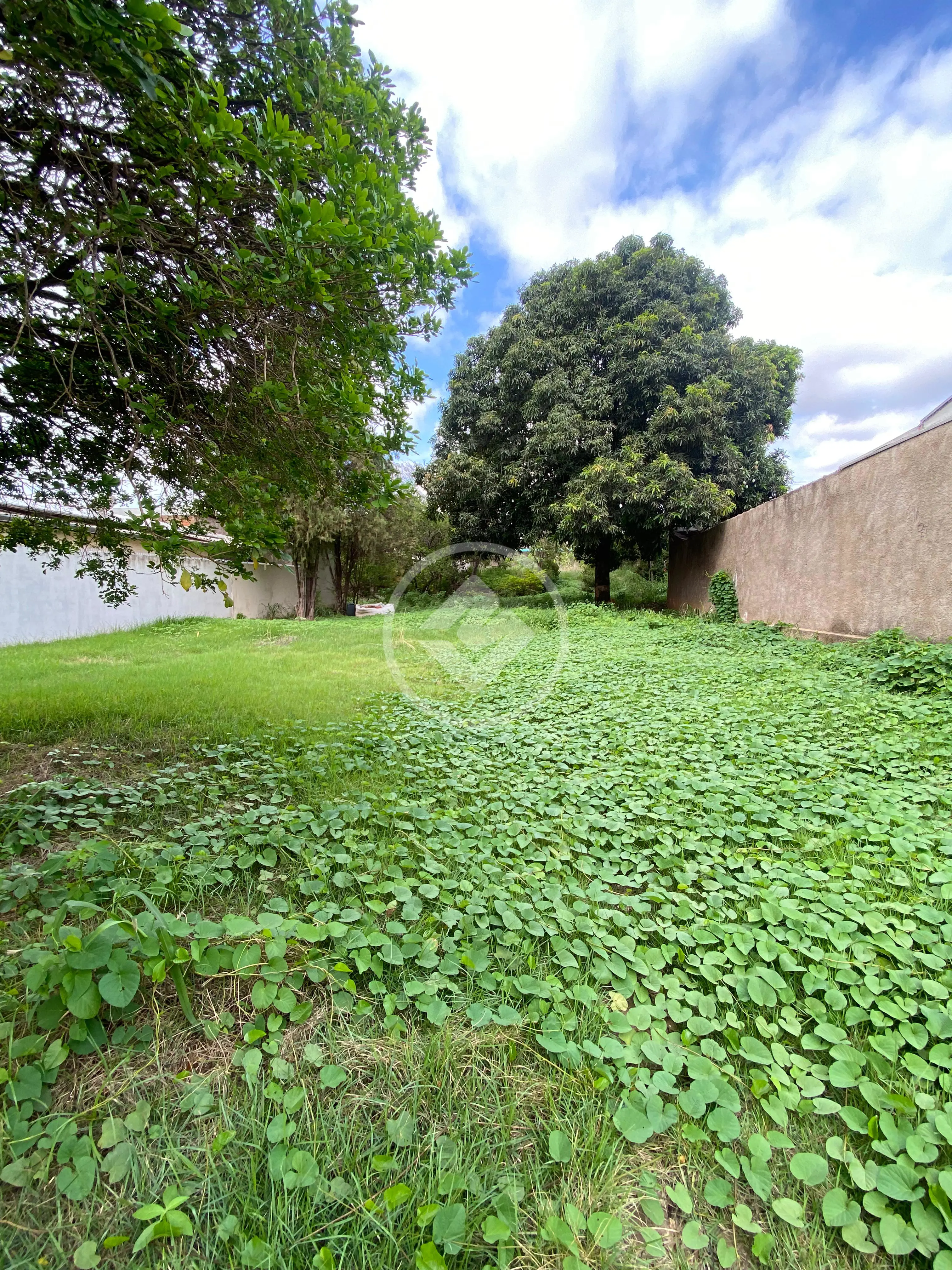 Imagem 6 - Terreno em Cidade Alta, Cuiabá - MT