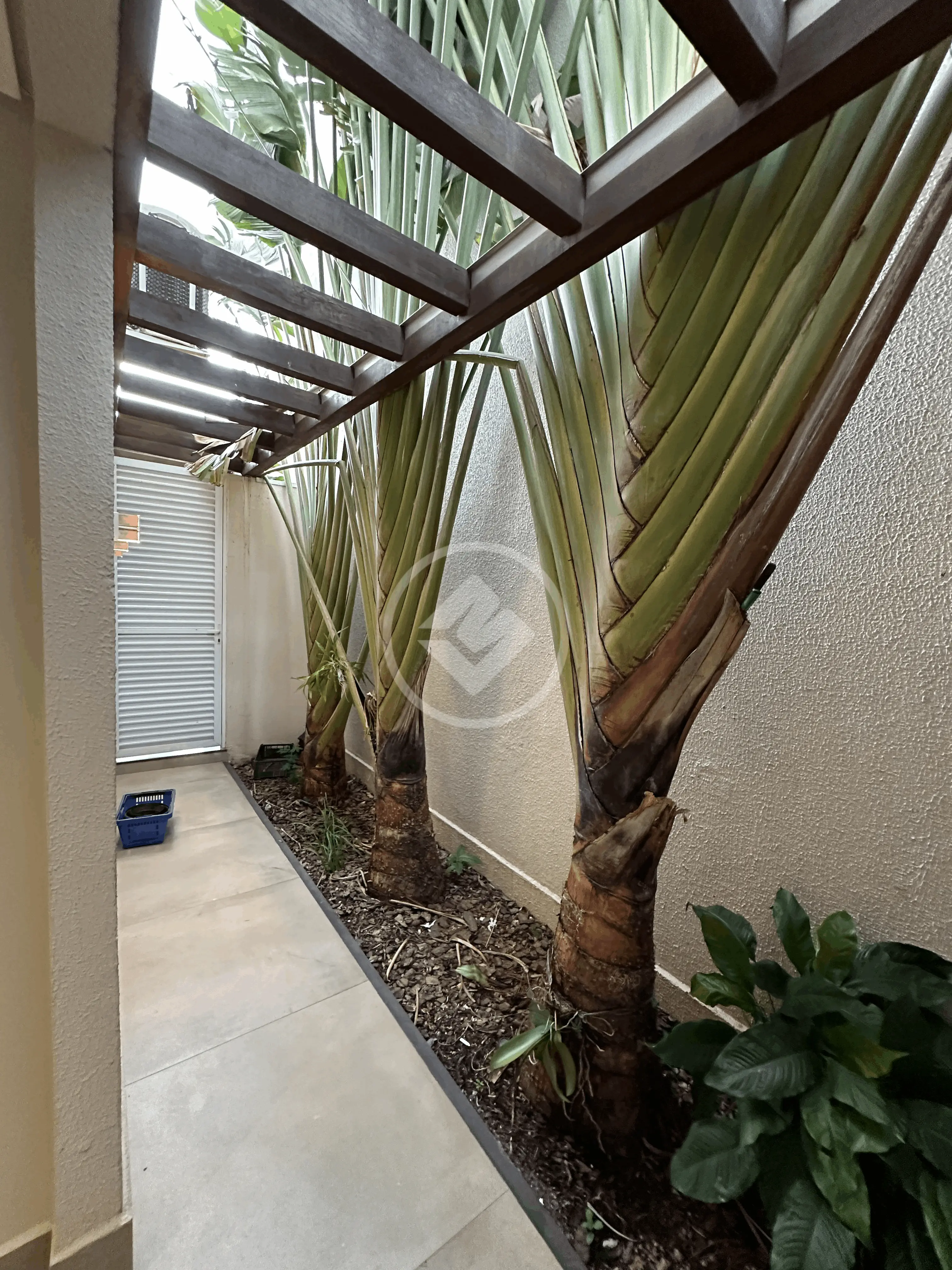 Imagem 5 - Casa Condomínio em RIBEIRÃO DO LIPA, Cuiabá - MT
