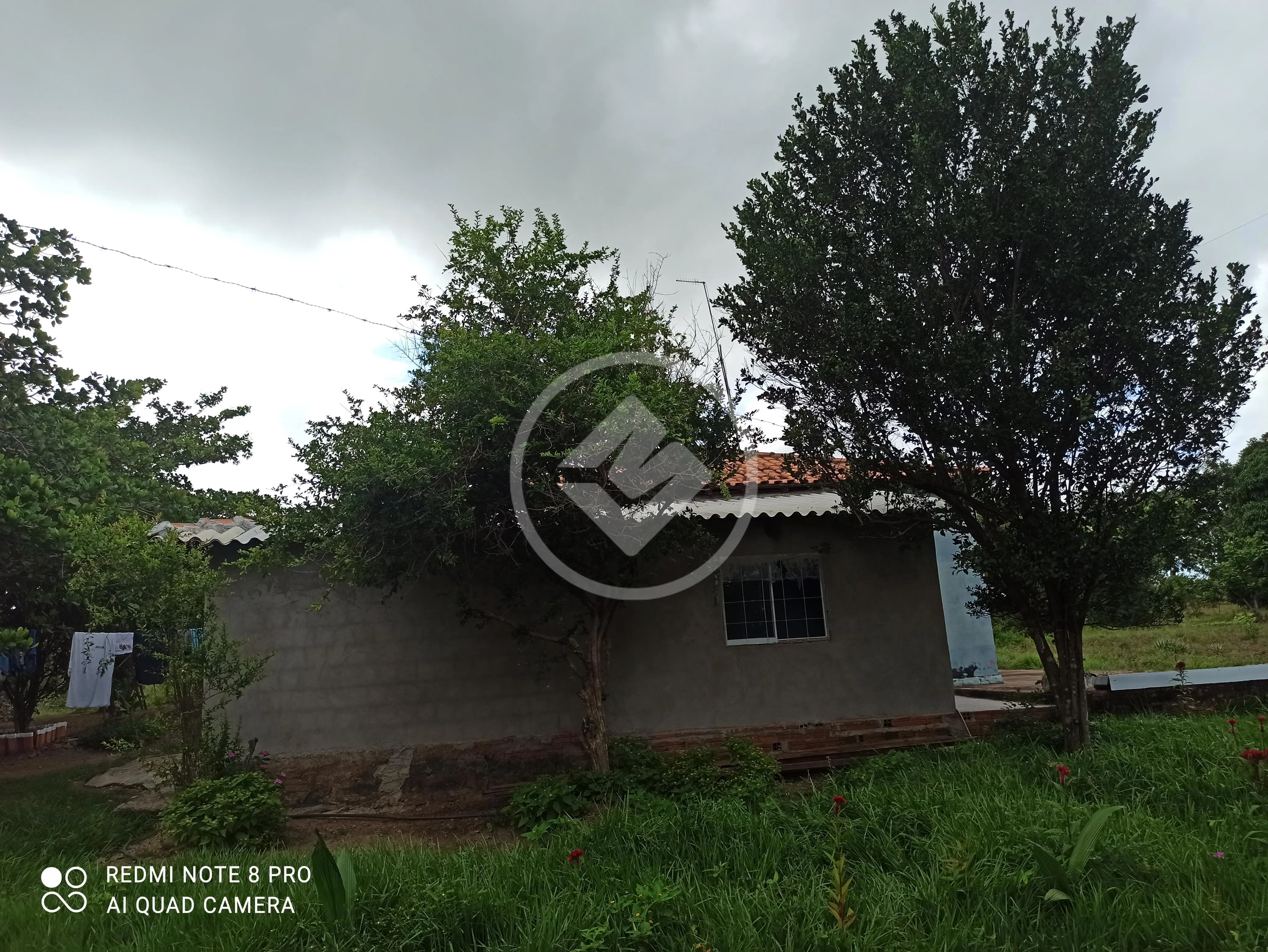 Image 11 - Sítio em Centro, Jangada - MT