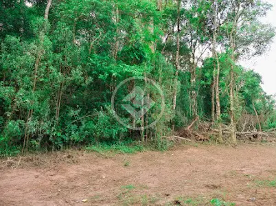 Imagem 6 - Chácara em Jardim Itaqui, Campo Largo - PR
