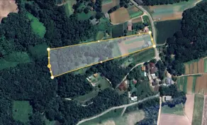 Terreno São Miguel, Almirante Tamandaré - PR — foto 2
