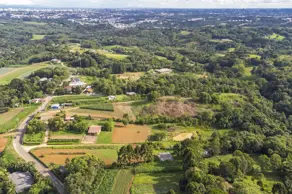 Imagem 3 - Terreno em São Miguel, Almirante Tamandaré - PR