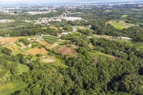 Imagem 4 - Terreno em São Miguel, Almirante Tamandaré - PR