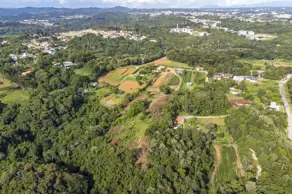 Imagem 6 - Terreno em São Miguel, Almirante Tamandaré - PR