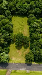 Imagem 4 - Terreno Condomínio em Borda do Campo, São José dos Pinhais - PR