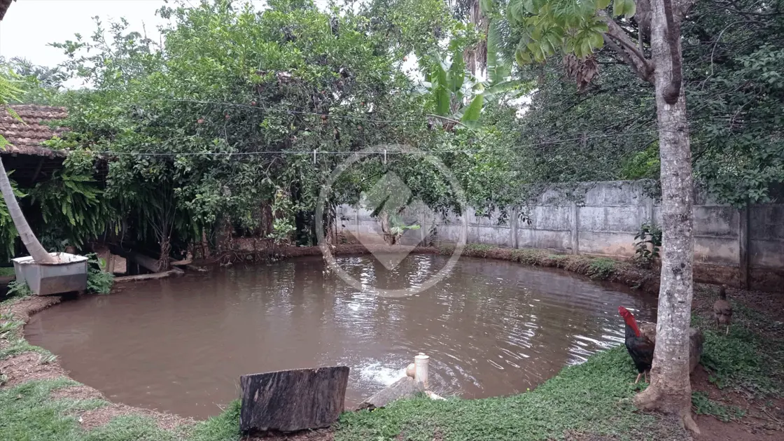 Imagem 1 - Chácara em Setor Central, Hidrolândia - GO