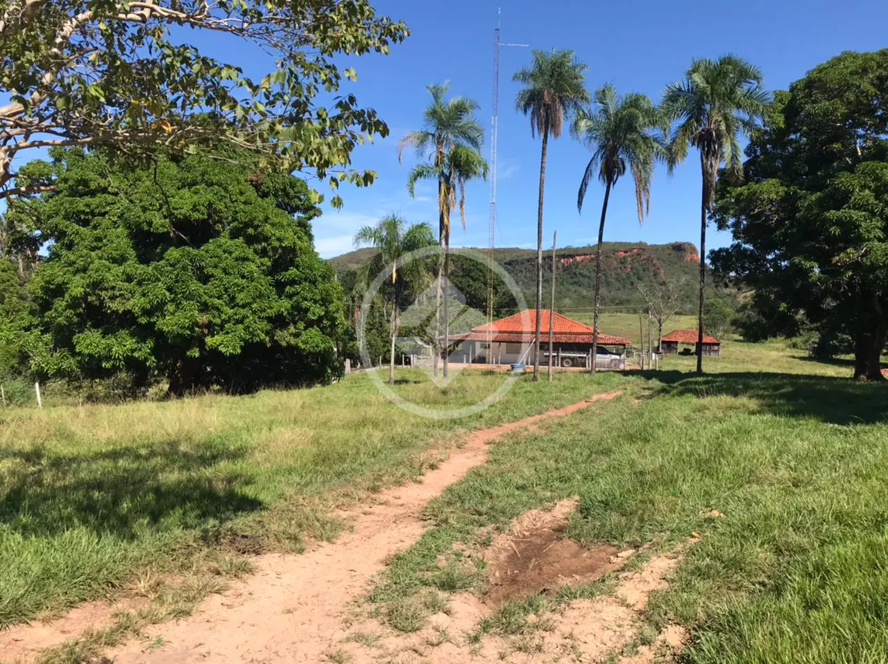 Imagem 3 - Fazenda em Area Rural, Tesouro - MT