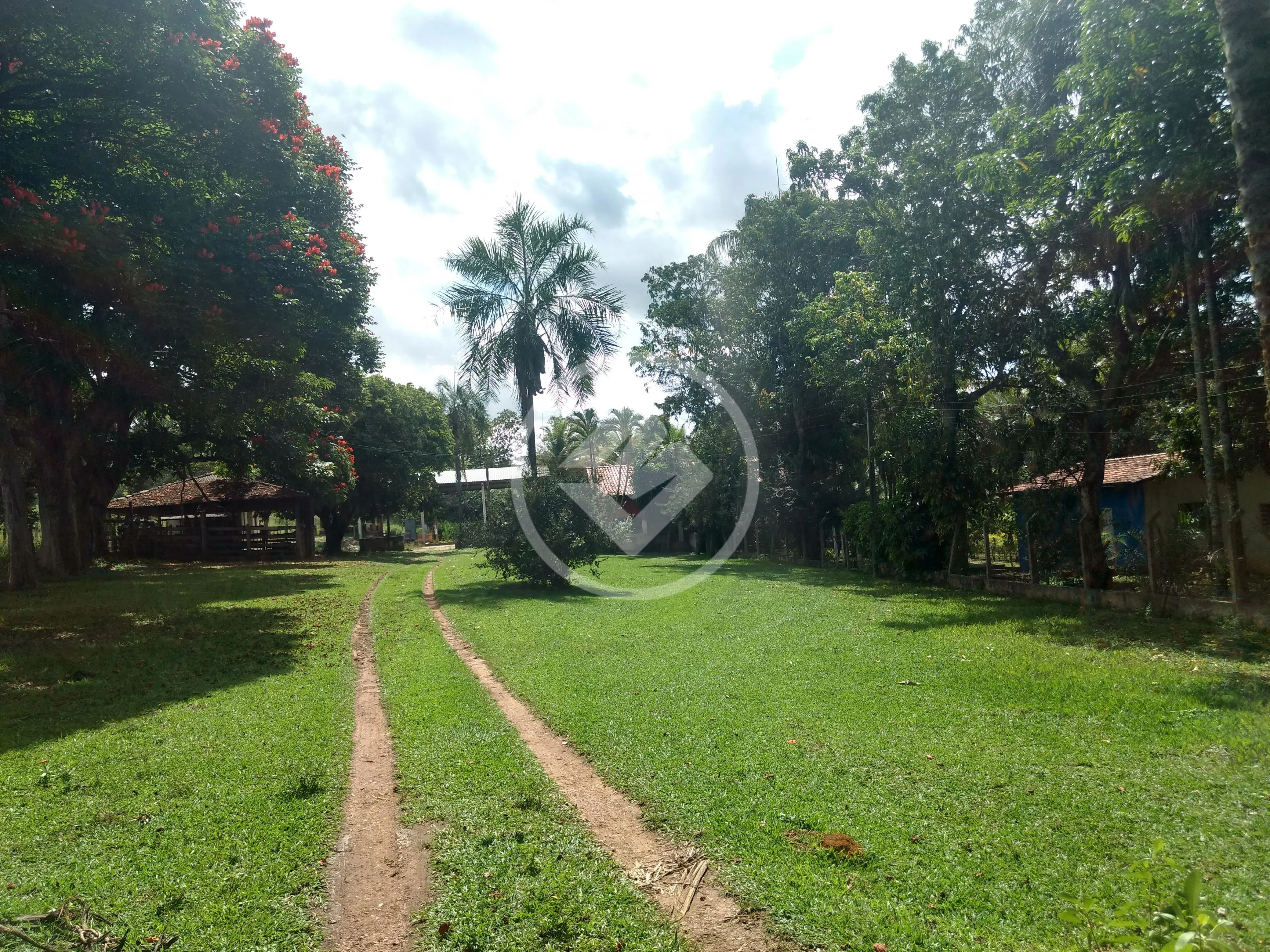 Imagem 5 - Fazenda em Zona Rural, Hidrolândia - GO