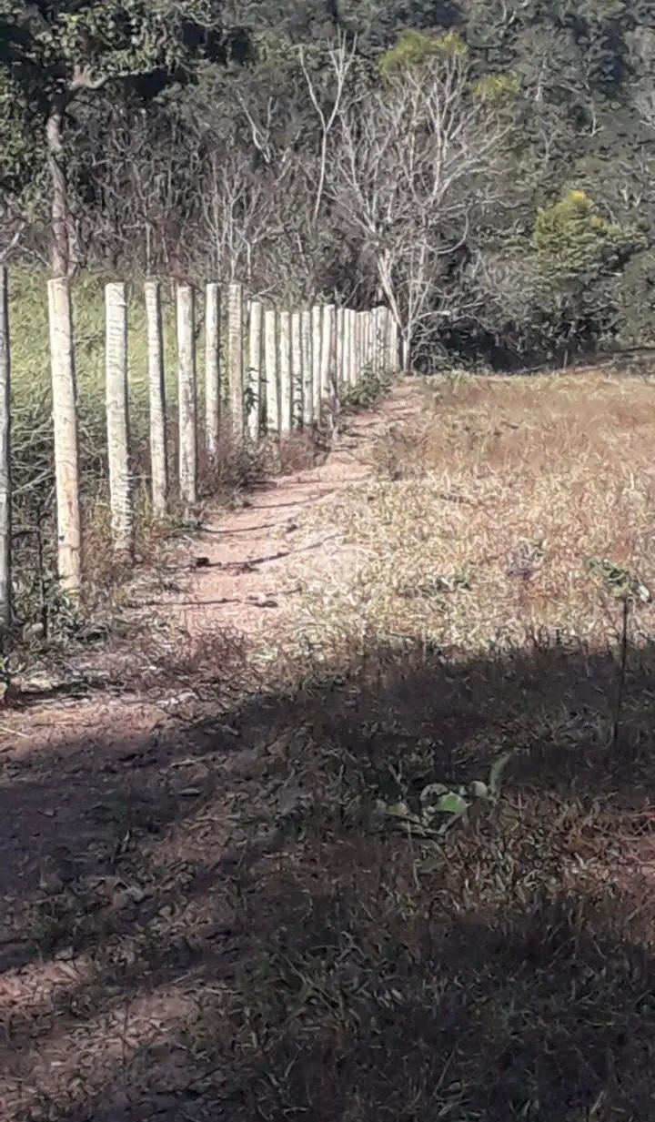 Image 15 - Fazenda em Setor Central, Santa Cruz de Goiás - GO