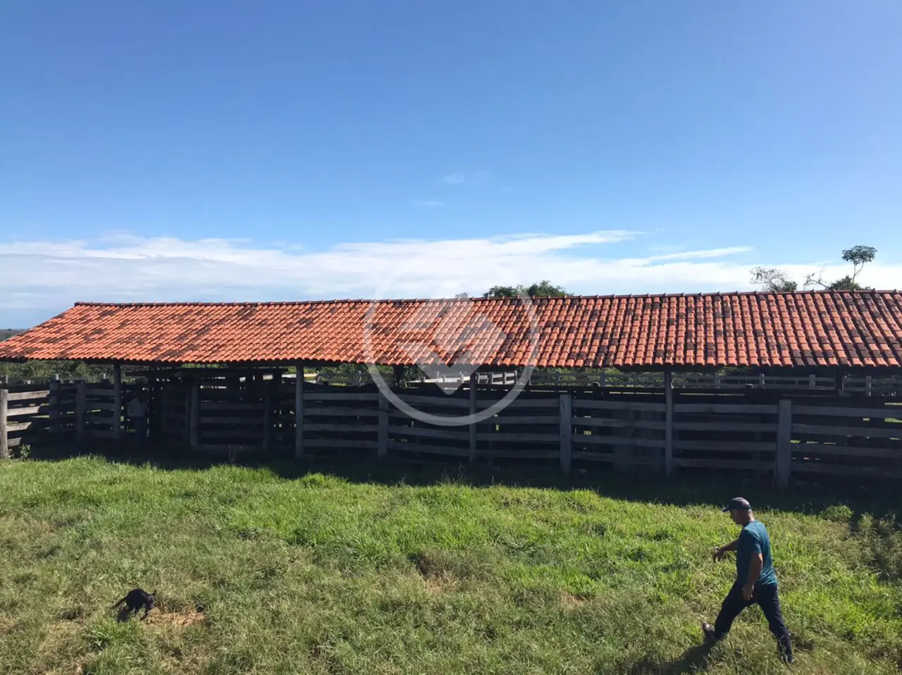 Imagem 4 - Fazenda em Area Rural, Tesouro - MT