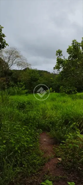 Imagem 4 - Chácara em Setor dos Estados, Aparecida de Goiânia - GO