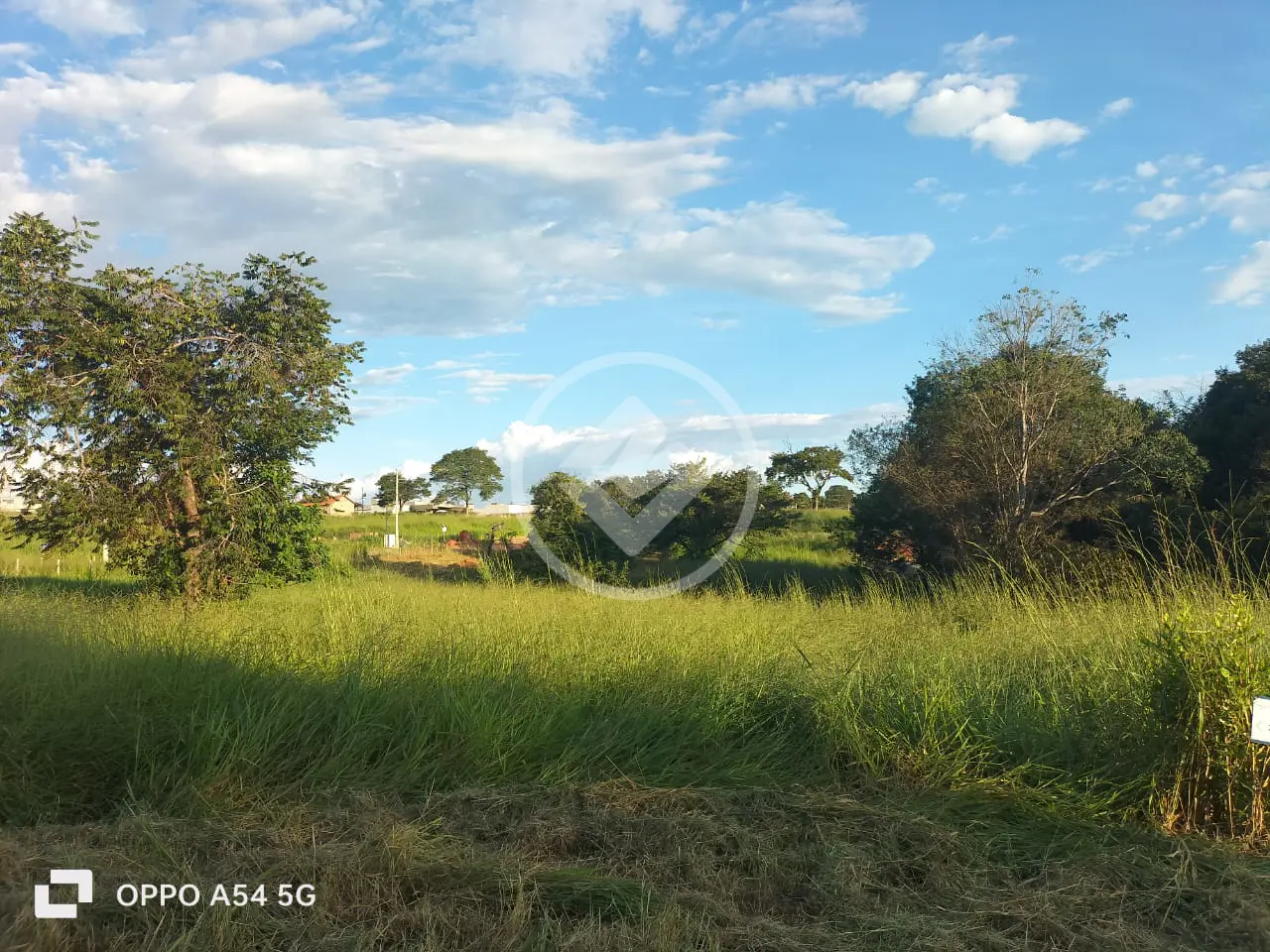 Imagem 2 - Fazenda em Setor Oeste, Trindade - GO