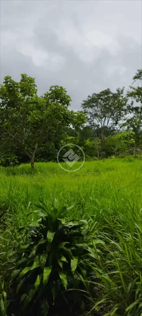 Imagem 3 - Chácara em Setor dos Estados, Aparecida de Goiânia - GO