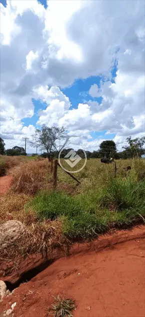 Imagem 3 - Terreno em Sítios Recreio Bandeirantes, Goiânia - GO