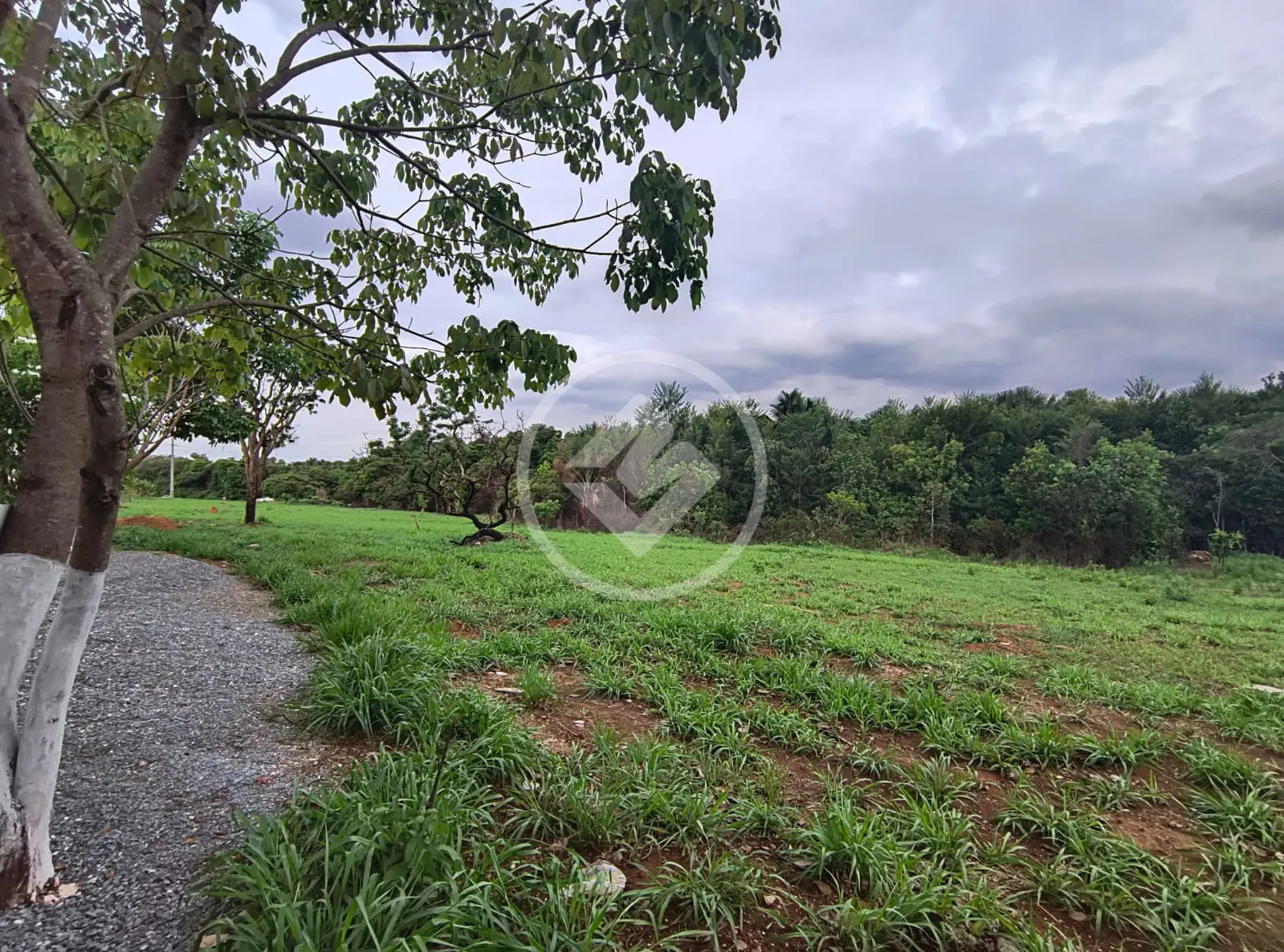 Image 18 - Casa em Residencial Vereda dos Buritis, Goiânia - GO