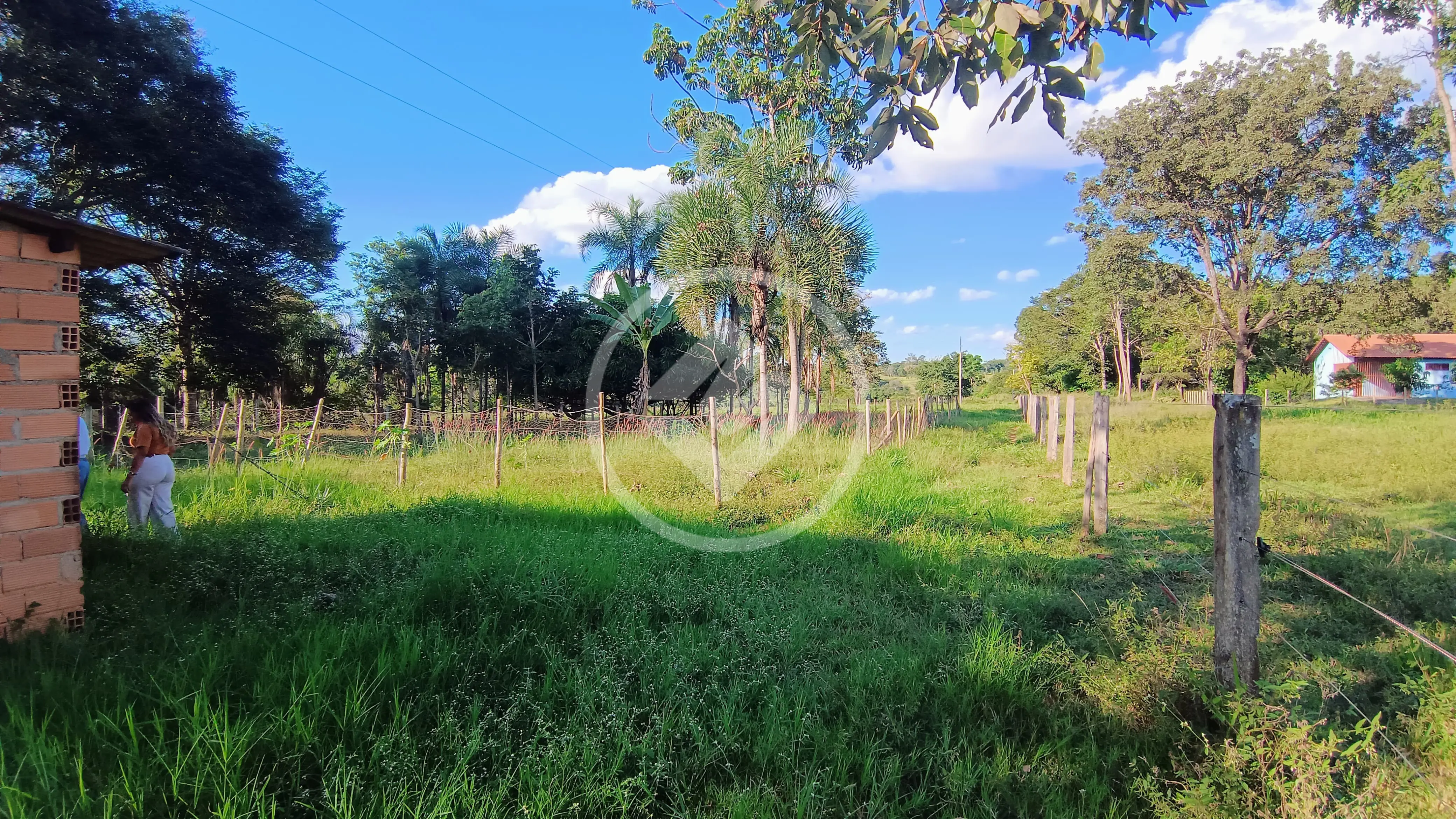 Image 11 - Chácara em FAZENDA RECANTO BAMPI, Bela Vista de Goiás - GO