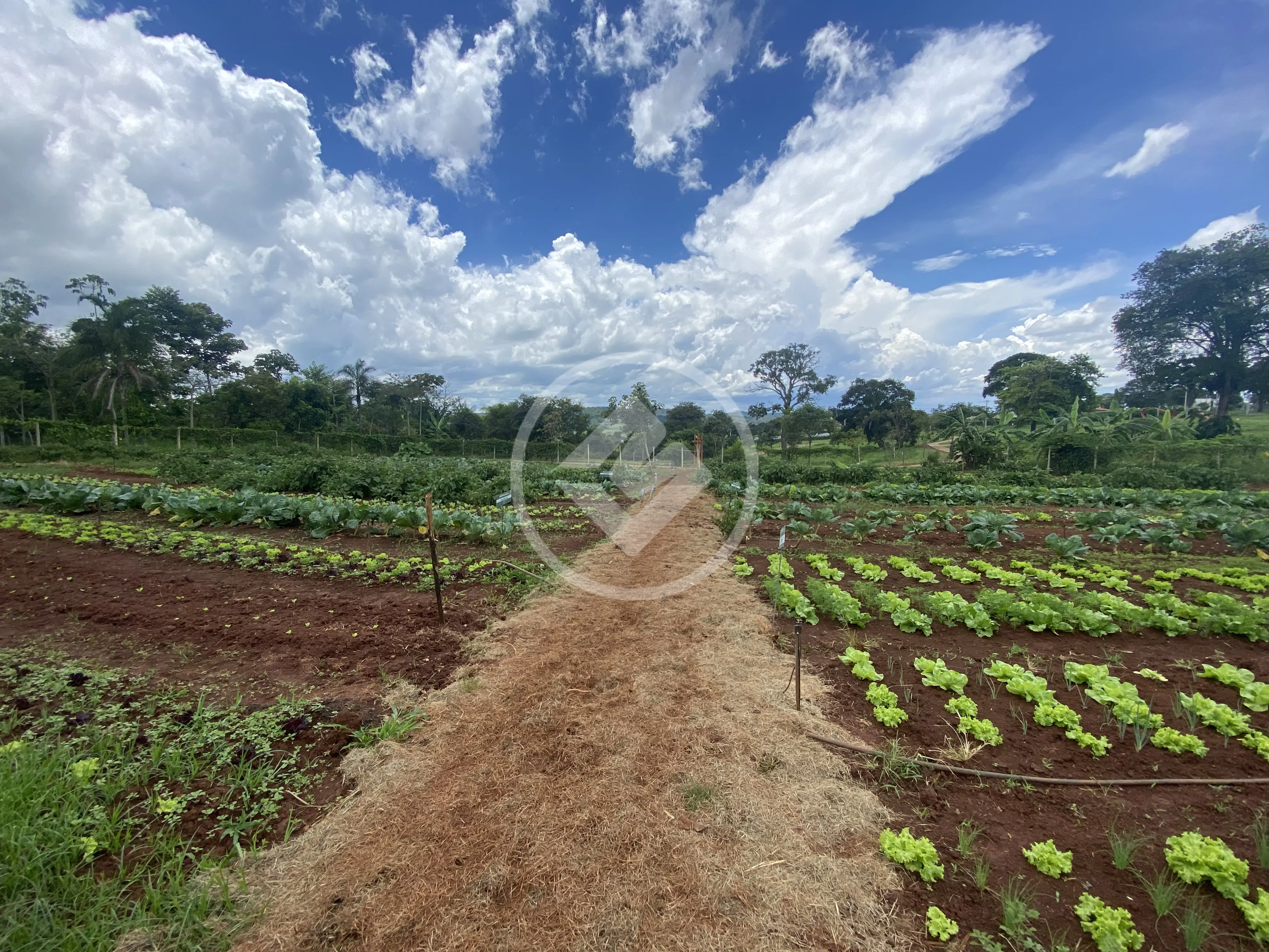 Terreno Condomínio Estância do Bosque, Santo Antônio de Goiás - GO — foto 1