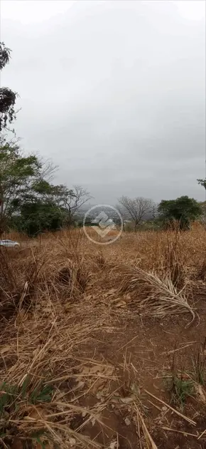 Imagem 2 - Terreno em Jardim Petrópolis, Goiânia - GO