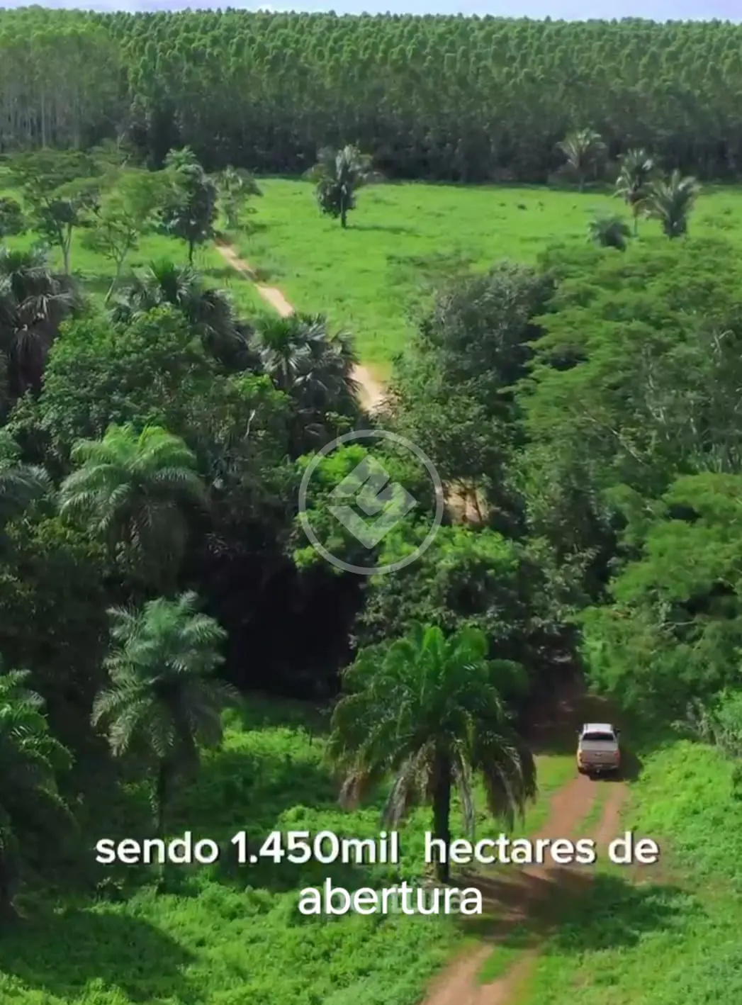 Image 23 - Fazenda em ZONA RURAL, Ribamar Fiquene - MA