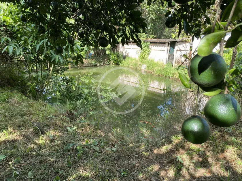 Imagem 4 - Chácara em Setor Amim Camargo, Goiânia - GO