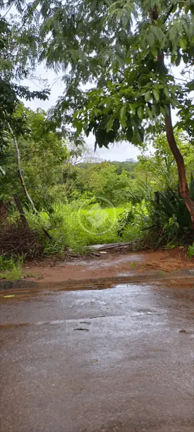 Imagem 2 - Chácara em Setor dos Estados, Aparecida de Goiânia - GO