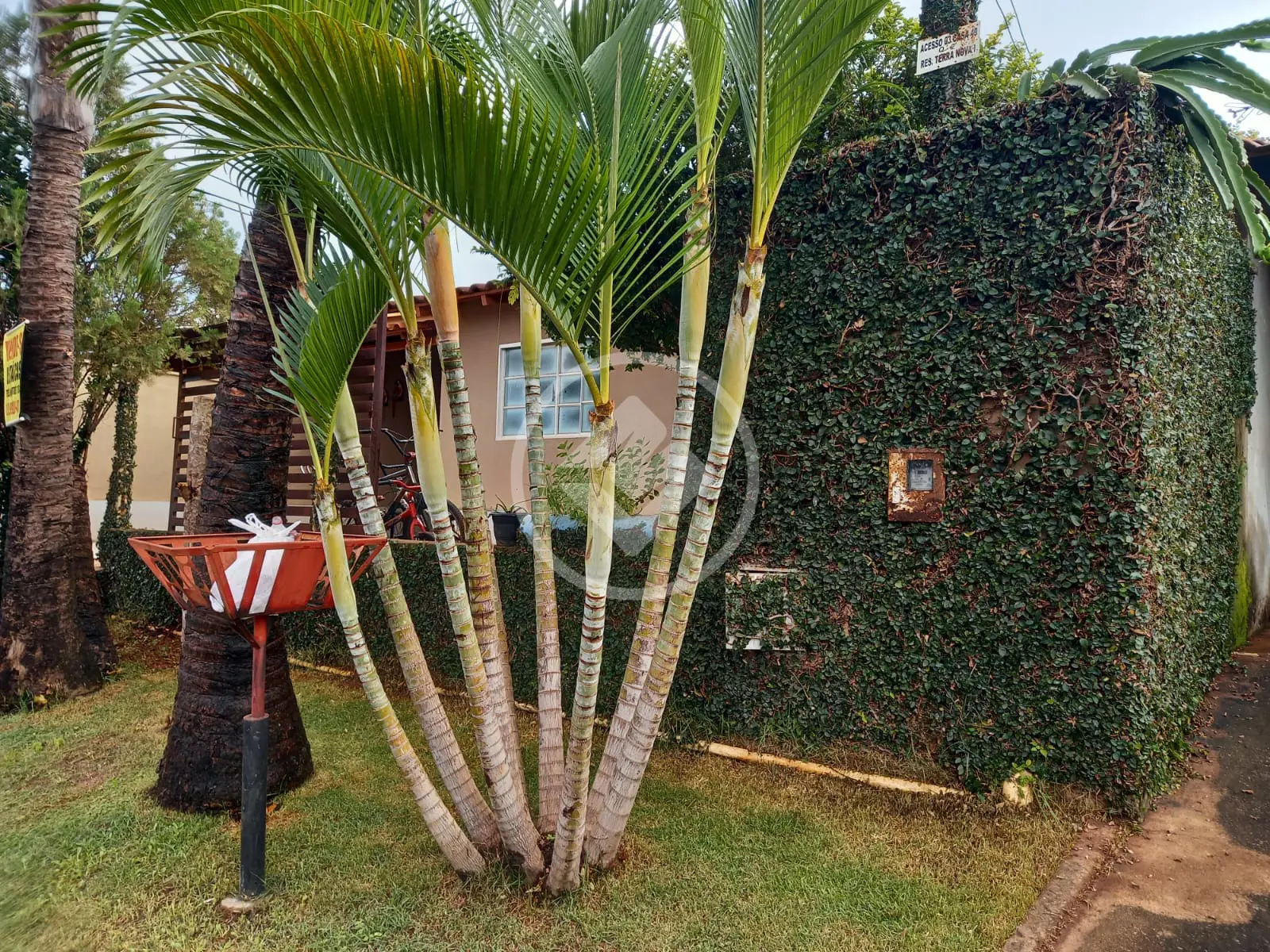 Imagem 1 - Casa Condomínio em Fazenda São Domingos - Conjunto Residencial Terra Nova, Goiânia - GO