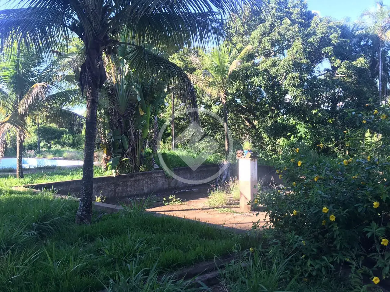 Imagem 3 - Fazenda em Zona Rural, Hidrolândia - GO