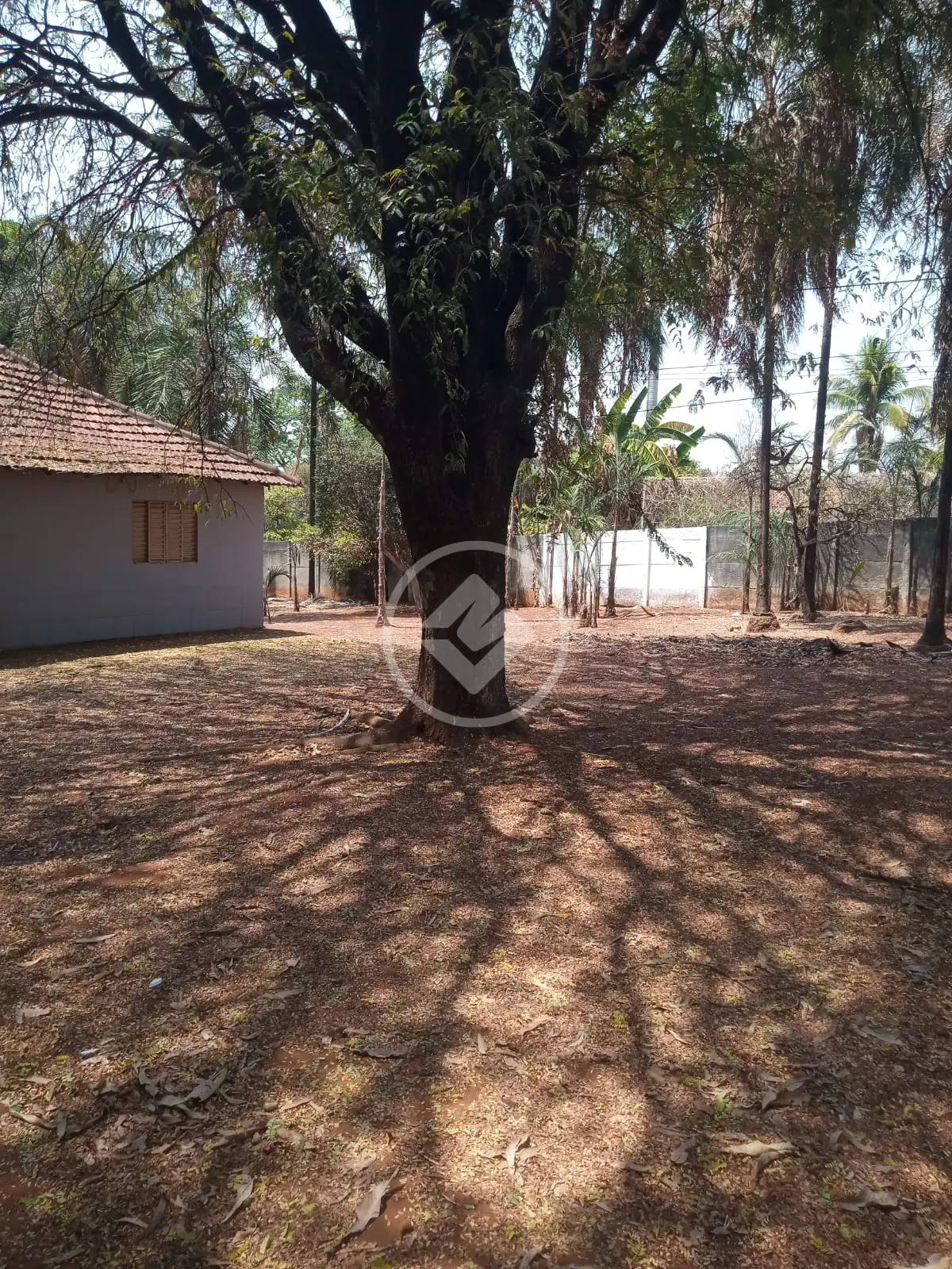 Imagem 2 - Chácara em Chácaras Dona Gê, Goiânia - GO