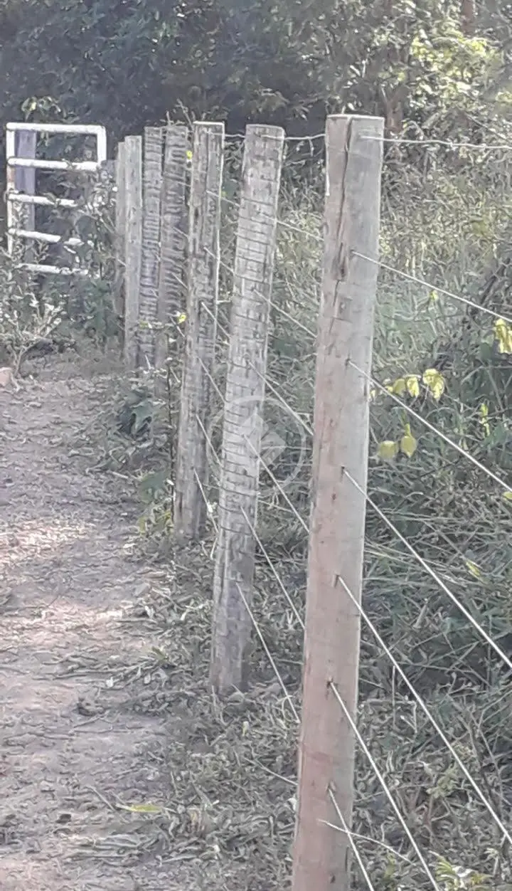 Imagem 5 - Fazenda em Setor Central, Santa Cruz de Goiás - GO