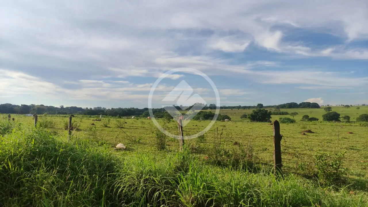 Terreno Conjunto Vera Cruz, Goiânia - GO — foto 1