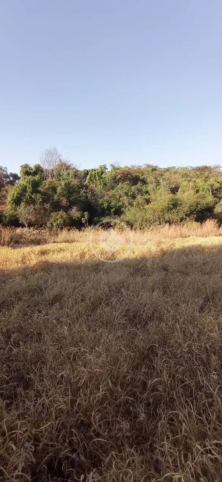 Imagem 1 - Chácara em Residencial Itaipu, Goiânia - GO