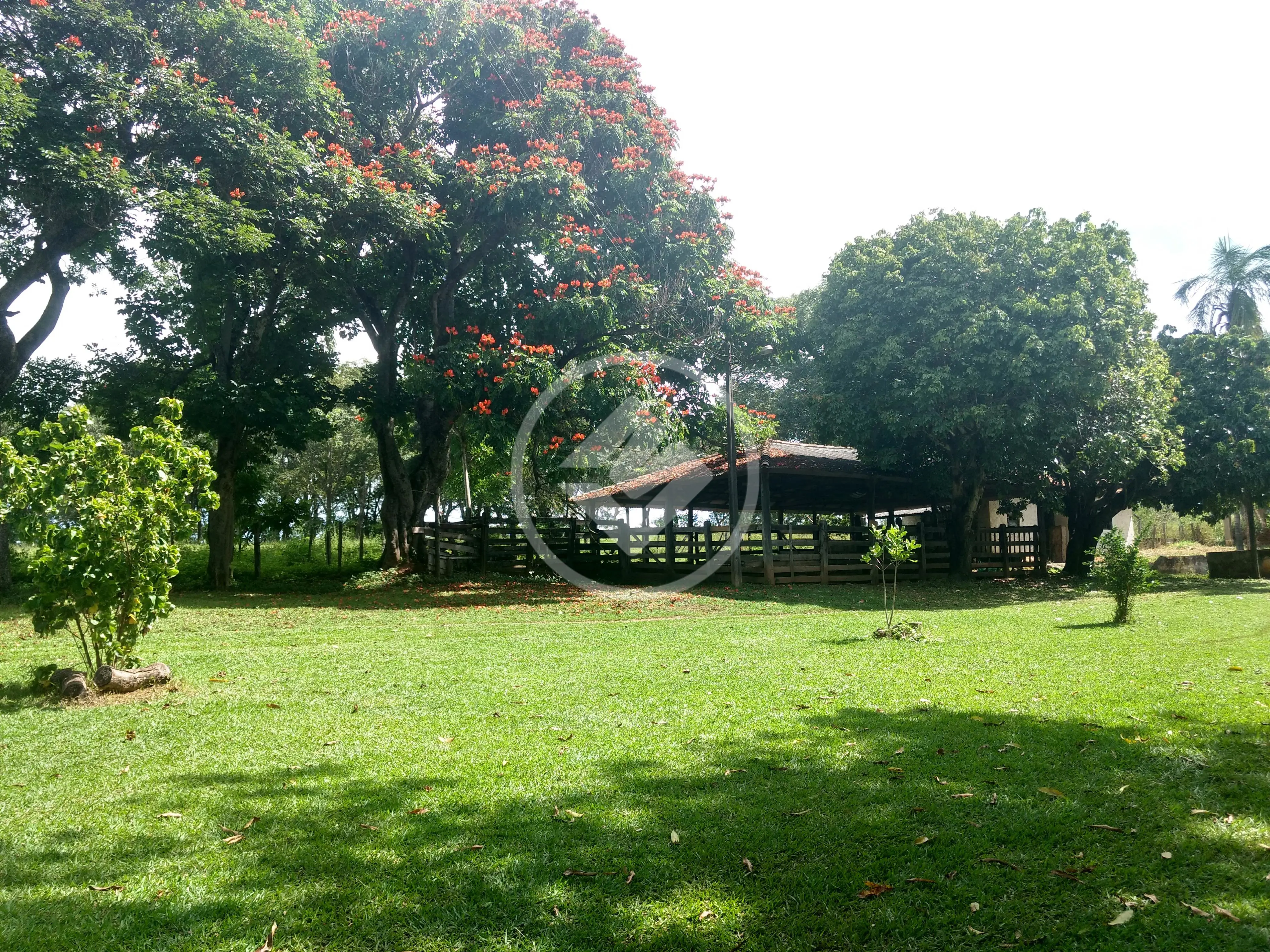 Fazenda Zona Rural, Hidrolândia - GO — foto 1