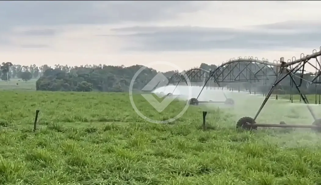 Fazenda ZONA RURAL, Ribamar Fiquene - MA — foto 2