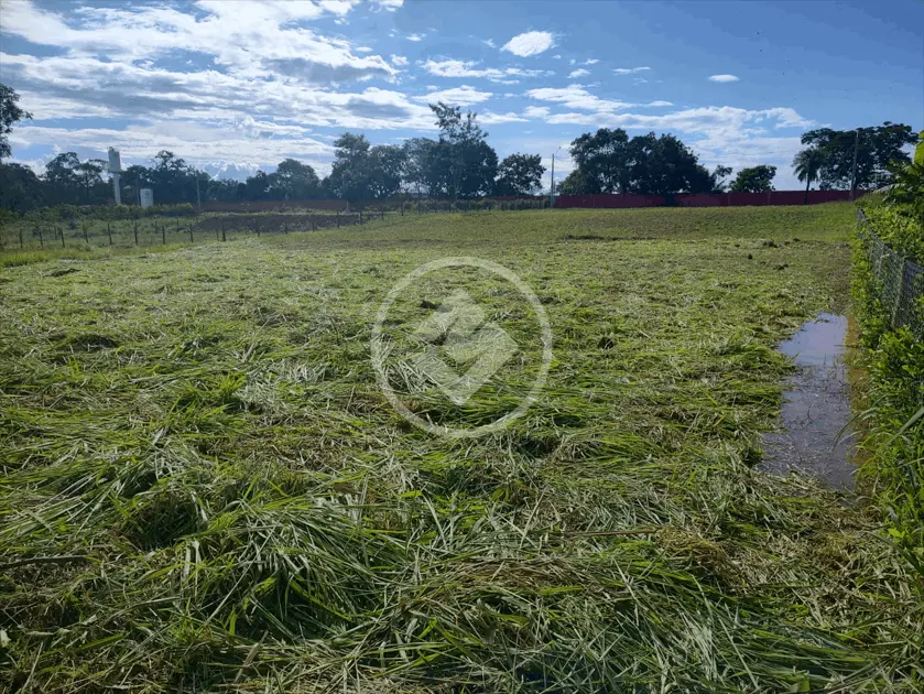 Imagem 3 - Chácara em Condomínio Reserva das Aroeiras, Bela Vista de Goiás - GO