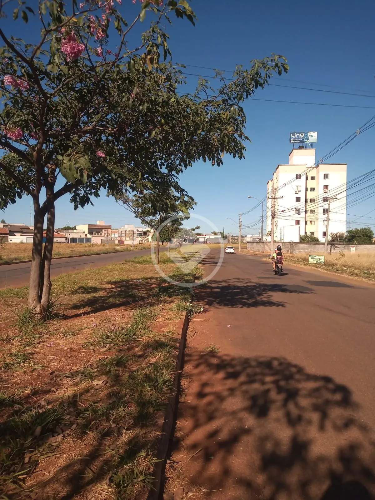 Terreno Residencial Flórida, Goiânia - GO — foto 2