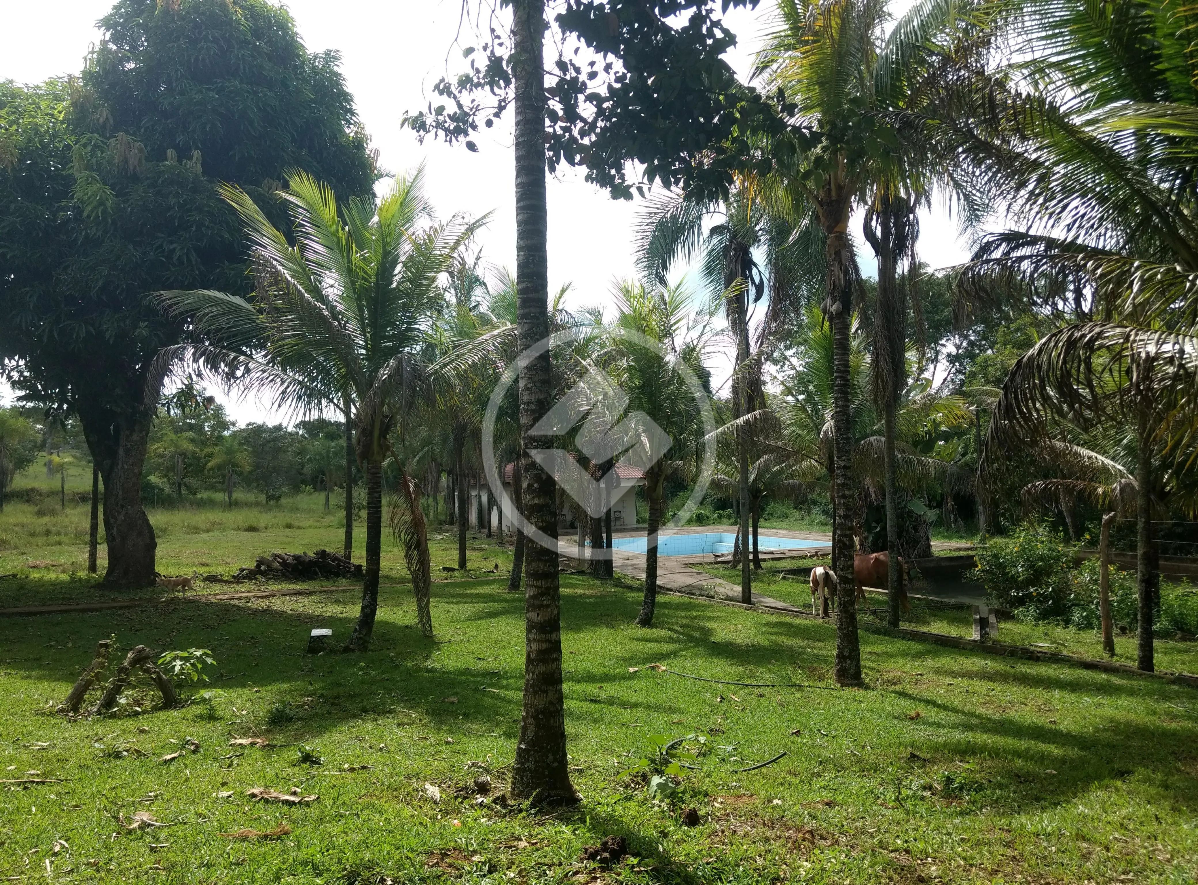 Image 12 - Fazenda em Zona Rural, Hidrolândia - GO