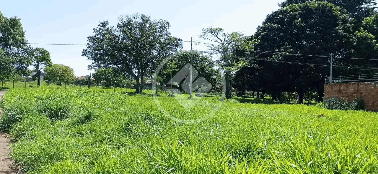 Terreno Setor Aeroporto Sul - 2ª Etapa, Aparecida de Goiânia - GO — foto 2