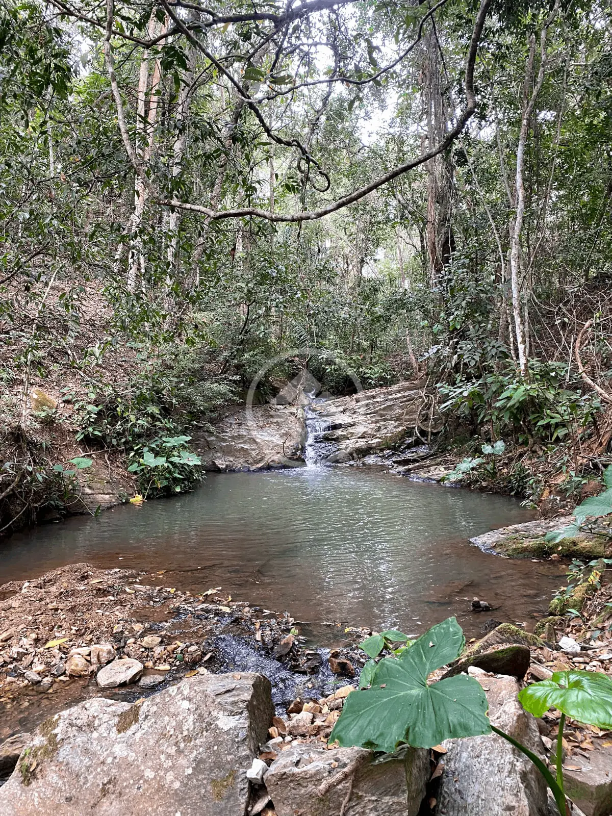 Imagem 4 - Fazenda em Zona Rural, Cromínia - GO