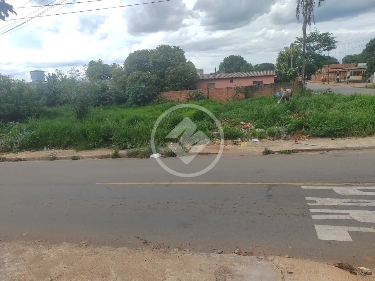 Imagem 4 - Terreno Comercial em Vila Oliveira, Aparecida de Goiânia - GO