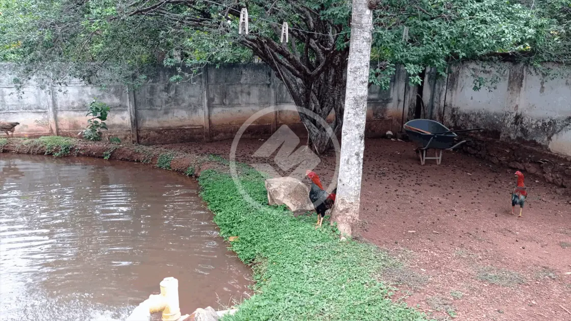 Imagem 5 - Chácara em Setor Central, Hidrolândia - GO