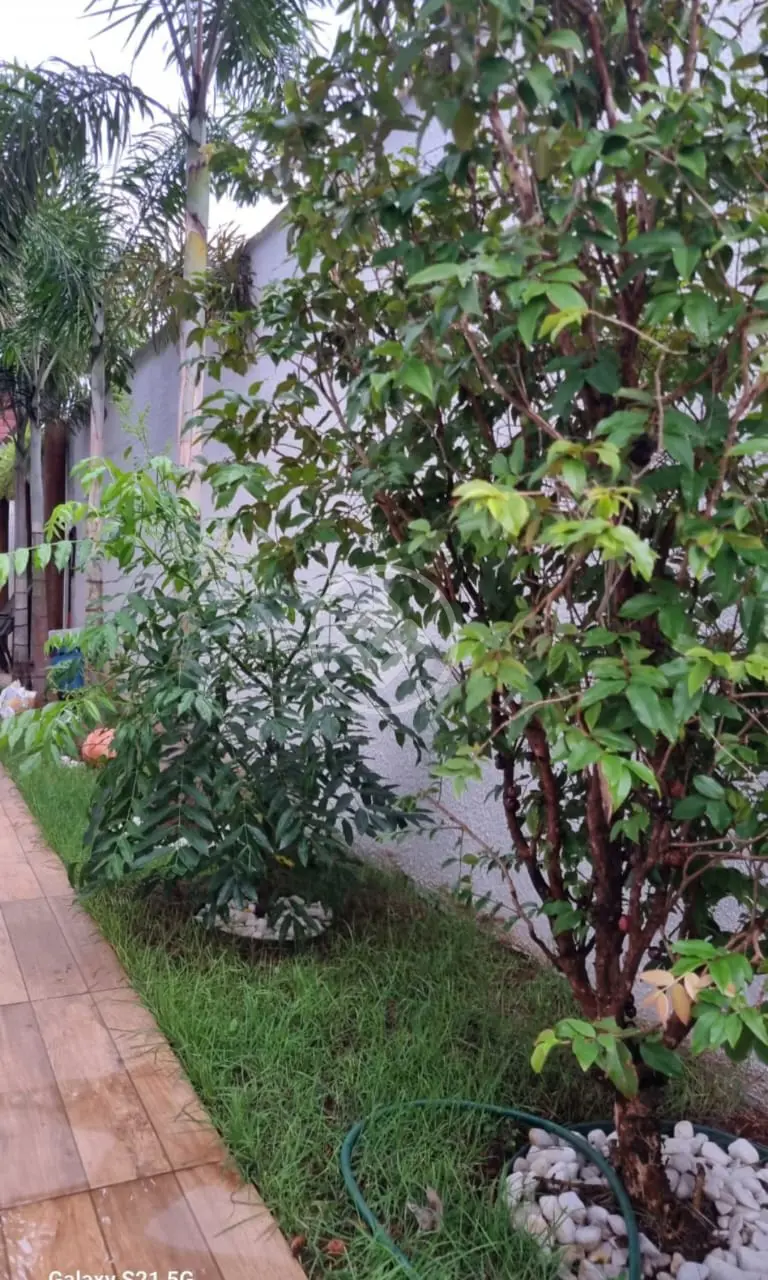 Image 10 - Casa Condomínio em Parqville Pinheiros, Aparecida de Goiânia - GO