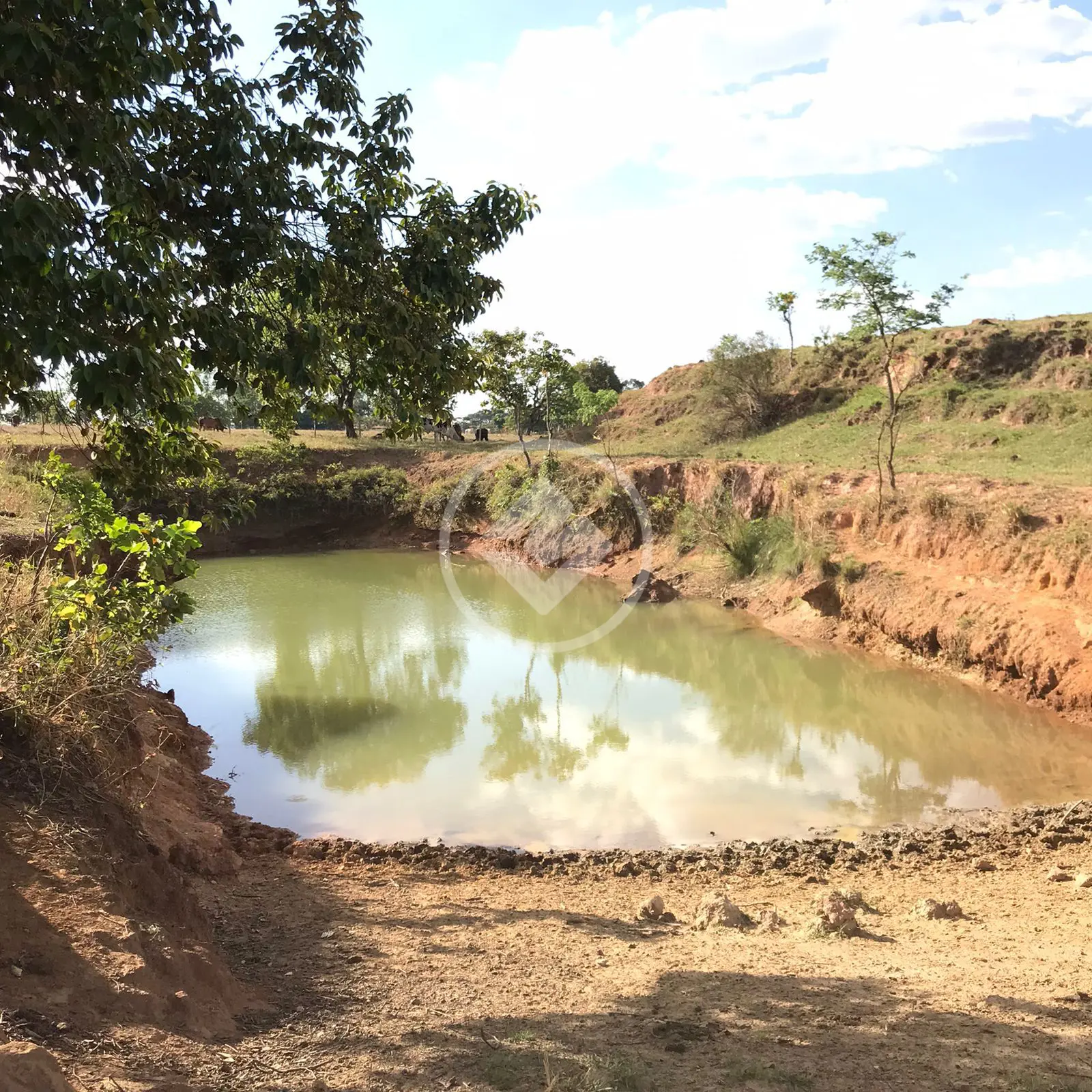 Imagem 2 - Fazenda em Zona Rural, Hidrolândia - GO