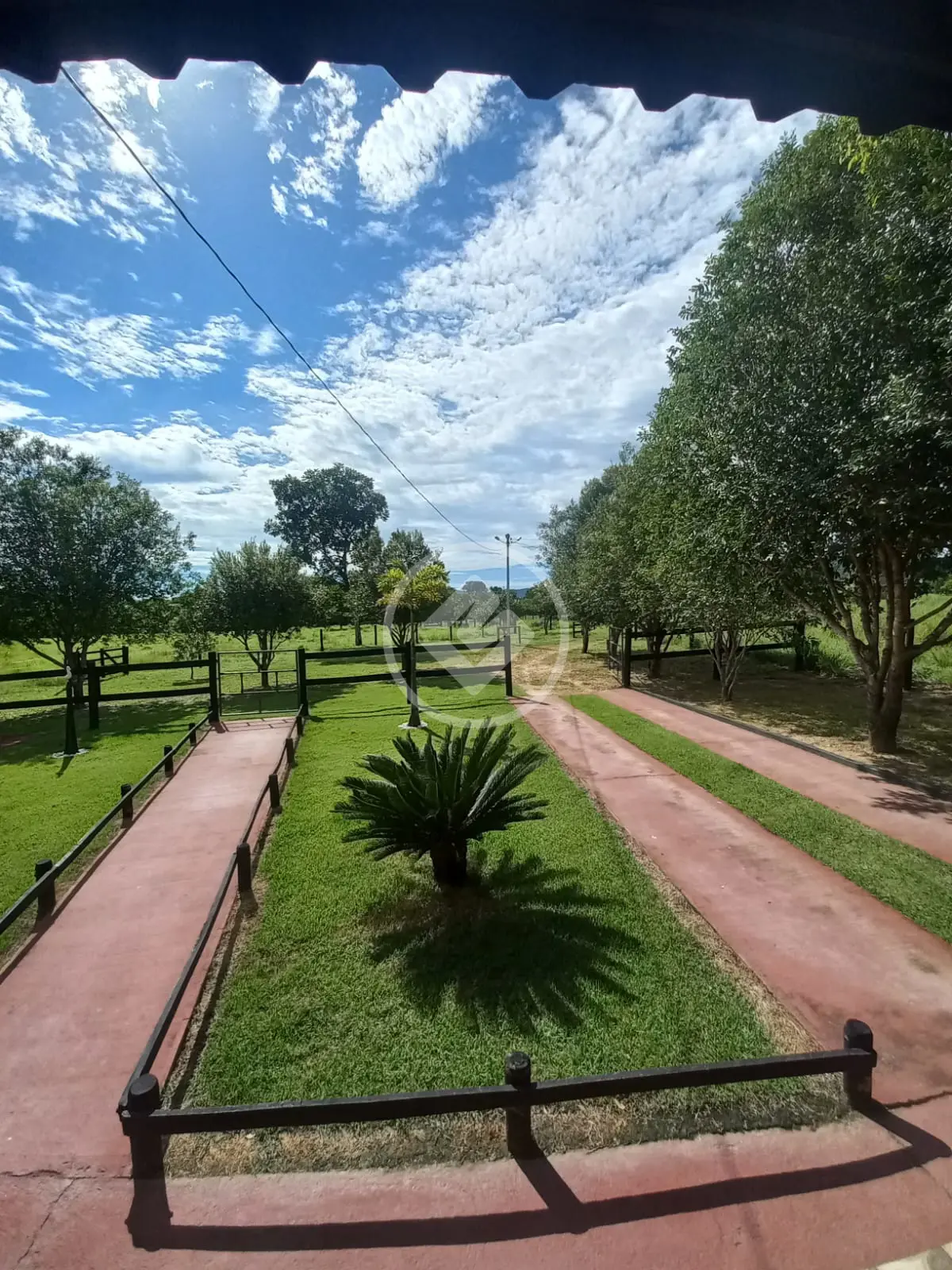 Fazenda Setor Central, Faina - GO — foto 1