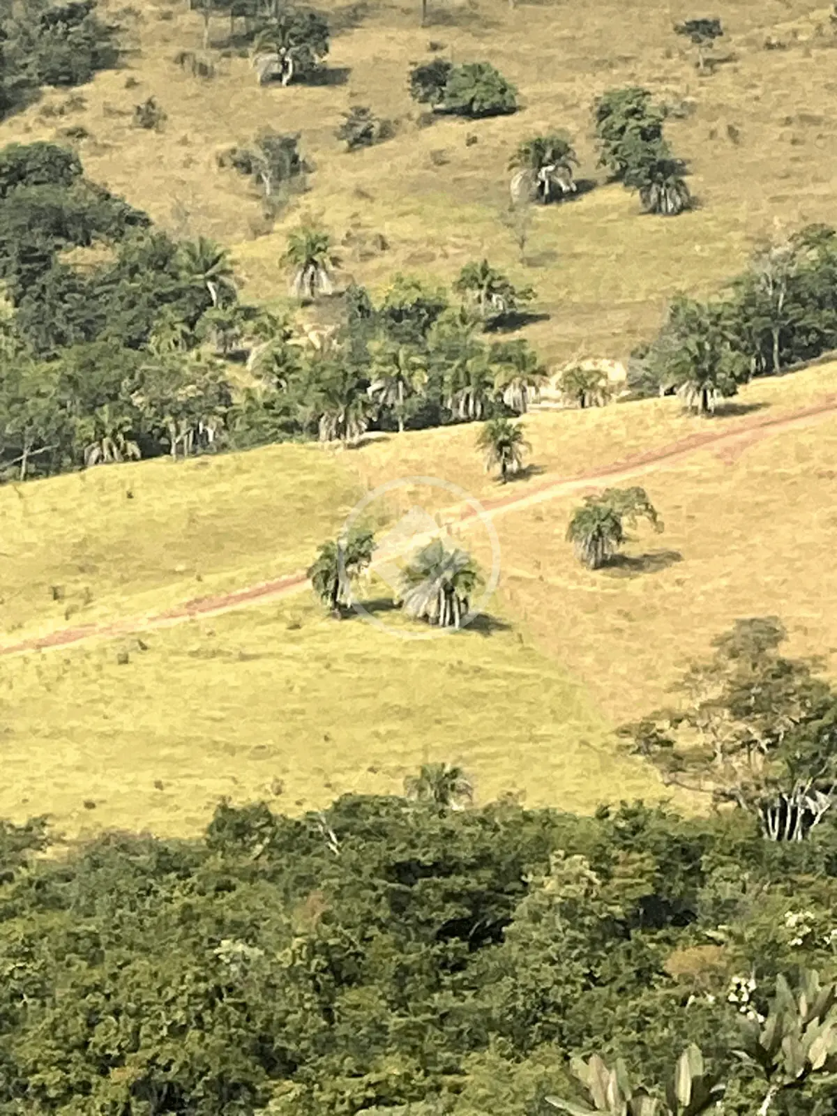 Fazenda Zona Rural, Cromínia - GO — foto 1
