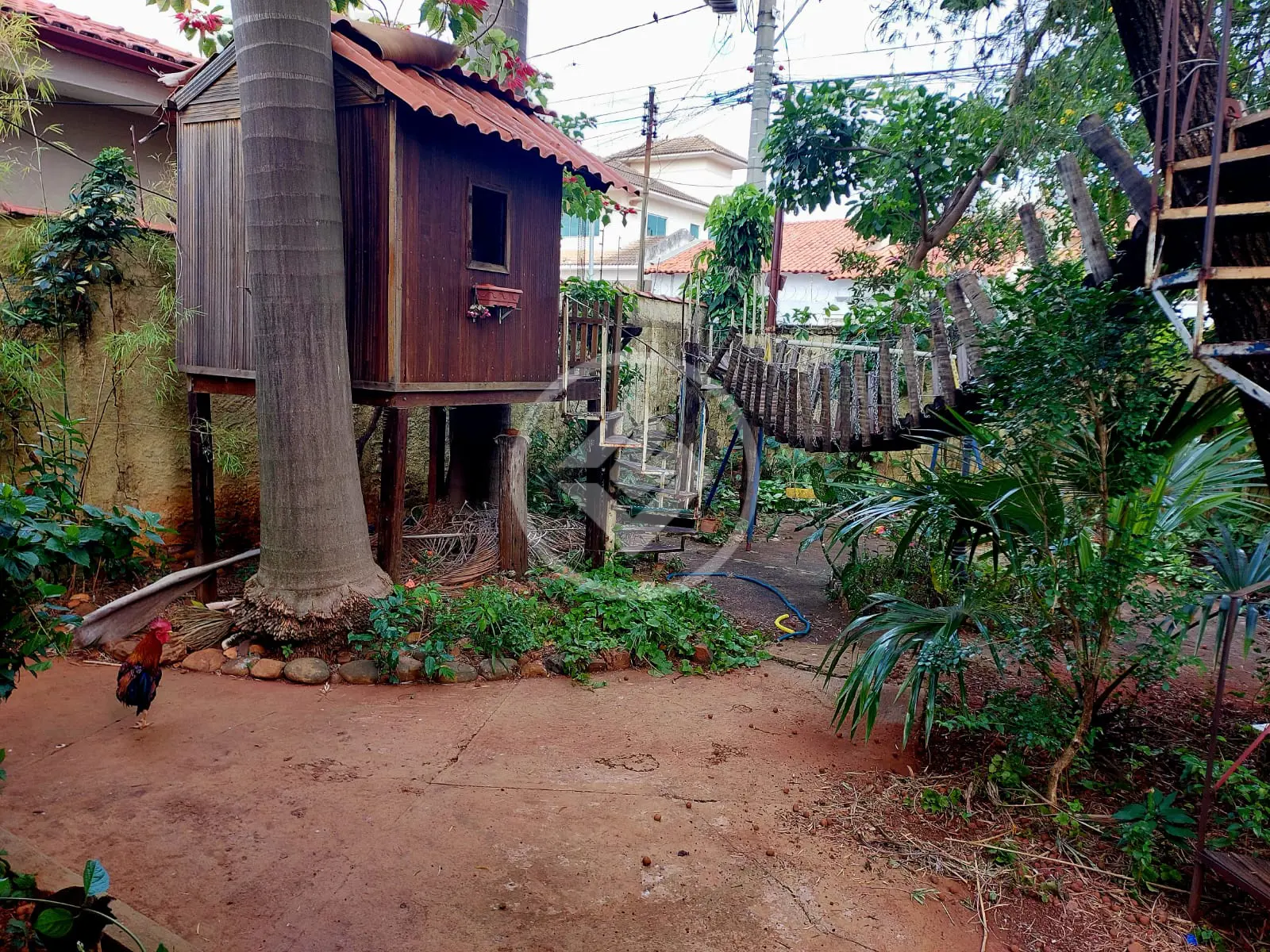 Imagem 6 - Casa em Residencial Celina Park, Goiânia - GO