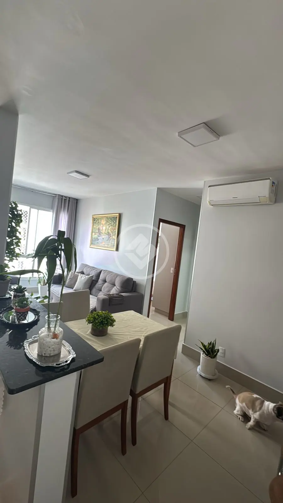 Imagem 5 - Apartamento em Jardim América, Goiânia - GO