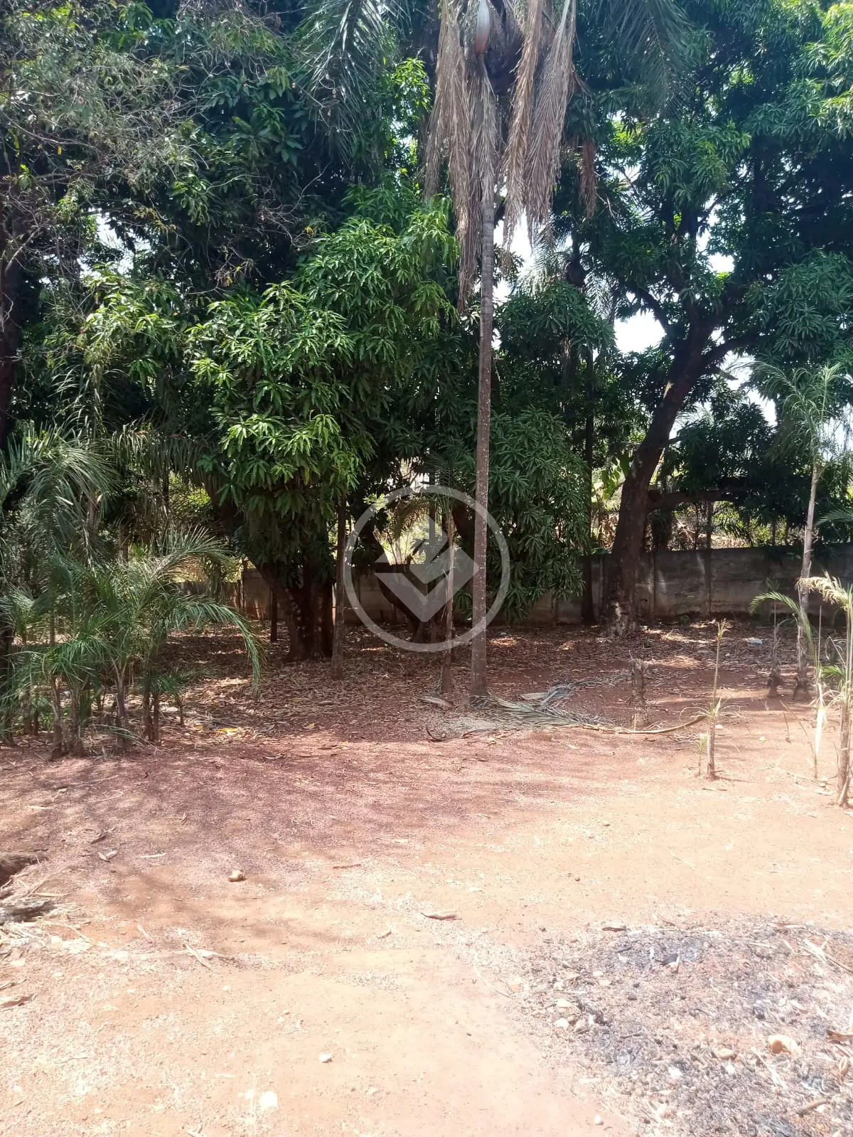 Imagem 6 - Chácara em Chácaras Dona Gê, Goiânia - GO