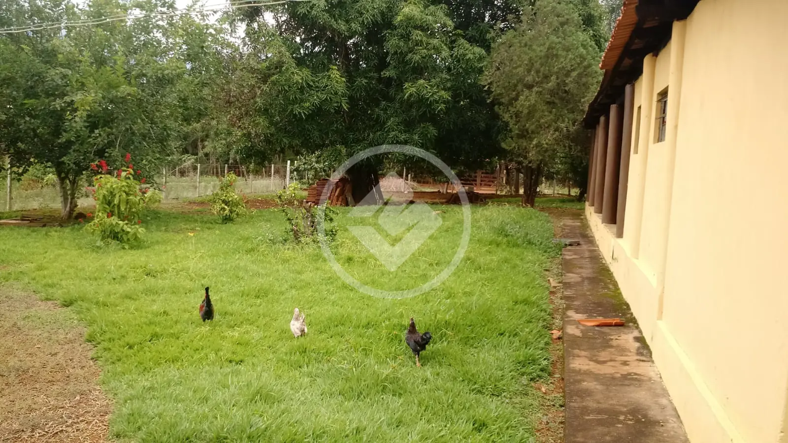 Imagem 6 - Chácara em Parque das Acácias, Aragoiânia - GO